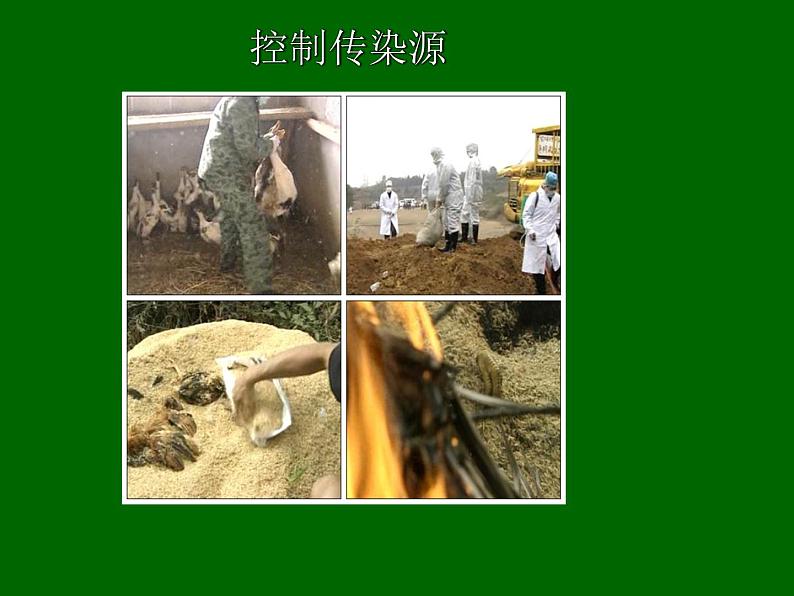 苏科版八下生物 24.2 传染病的预防 课件06