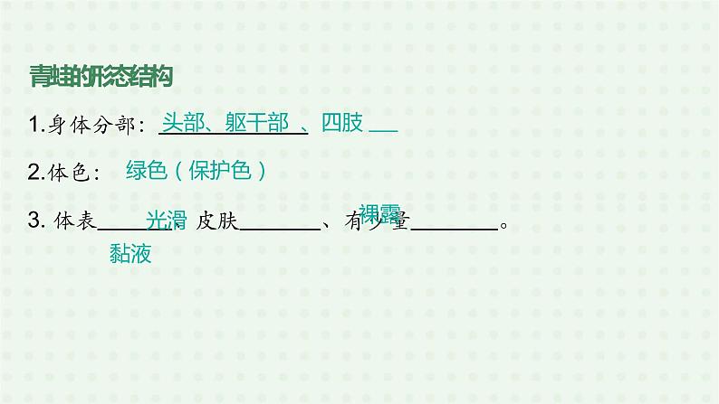 5.1.5《两栖动物和爬行动物》（1）-课件06