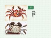 5.1.3《软体动物和节肢动物》（2）-课件