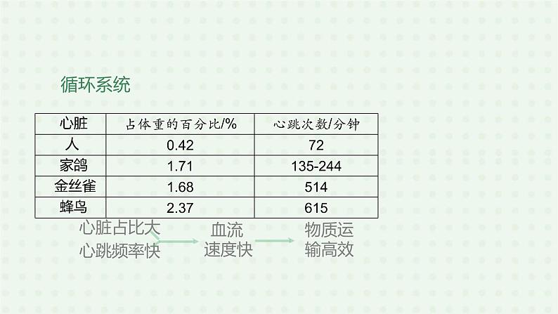 5.1.6《鸟》（2）-课件08