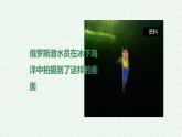 5.1.3《软体动物和节肢动物》（1）-课件