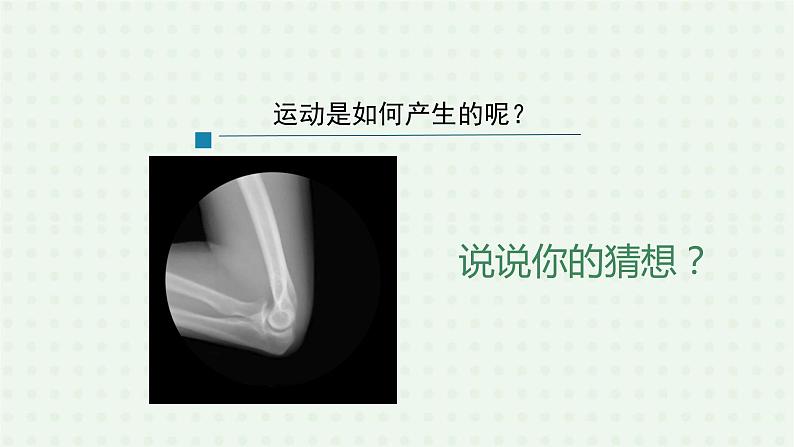 5.2.1《动物的运动》（2）-课件05