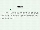 5.4.2《细菌》-课件