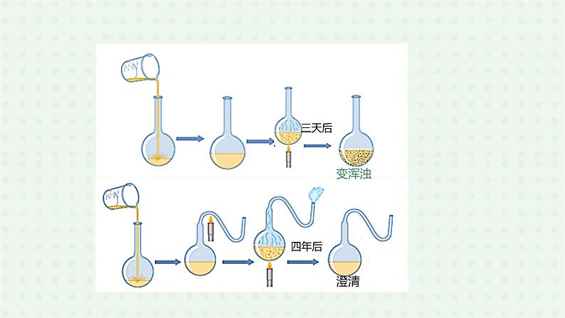 5.4.2《细菌》-课件08