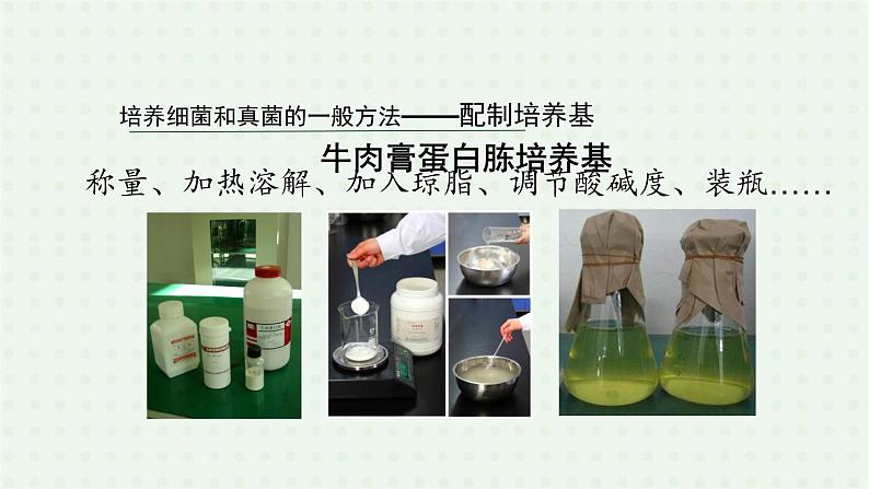 5.4.1《细菌和真菌的分布》（2）-课件07