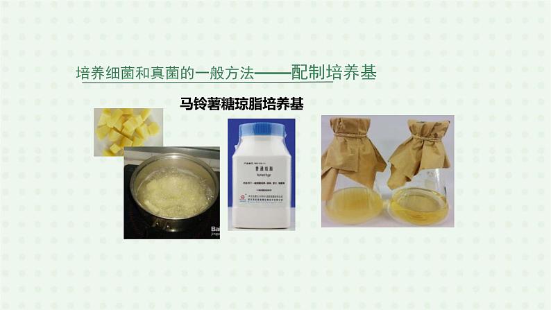 5.4.1《细菌和真菌的分布》（2）-课件08