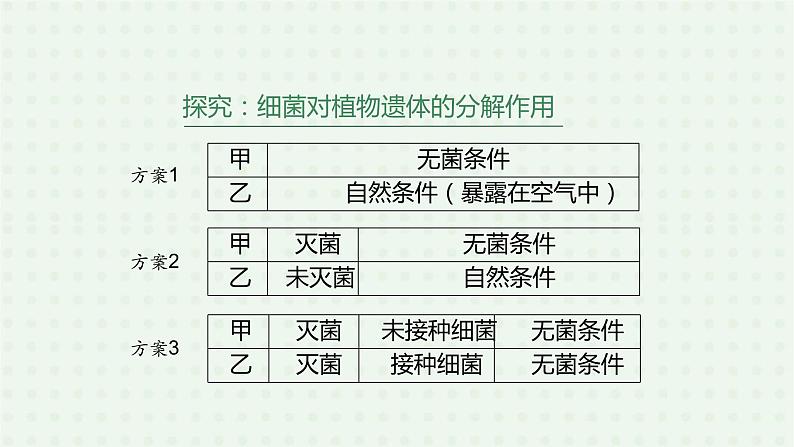 5.4.4《细菌和真菌在自然界中的作用》-课件06