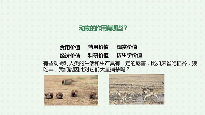 5.3《动物在生物圈中的作用》-课件02