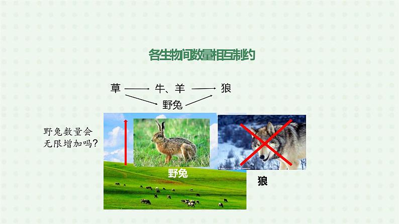 5.3《动物在生物圈中的作用》-课件04