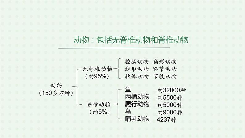 5.1.4《鱼》（1）-课件08