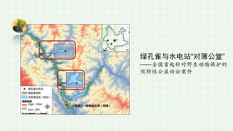 6.2《认识生物的多样性》-课件04