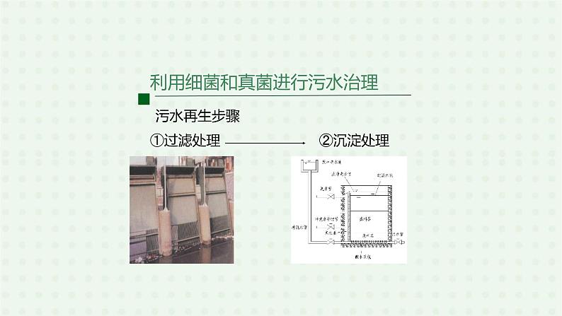 5.4.5《人类对细菌和真菌的利用》（2）-课件04