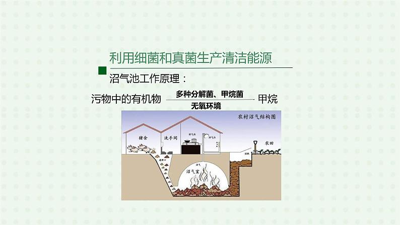 5.4.5《人类对细菌和真菌的利用》（2）-课件08