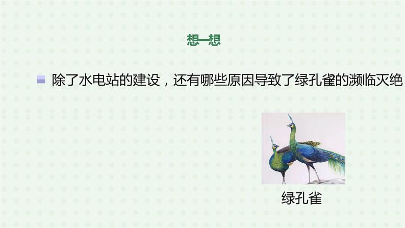 6.3《保护生物的多样性》-课件06