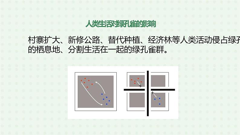 6.3《保护生物的多样性》-课件07