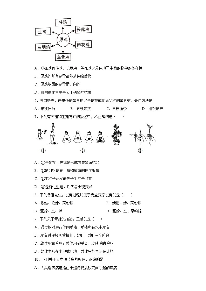 广东省德庆县2021-2022学年度下学期期中考试八年级生物试卷(word版含答案)02