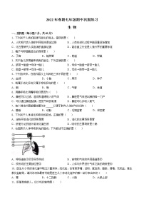 河南省南阳市南召县2021-2022学年七年级下学期期中生物试题(word版含答案)