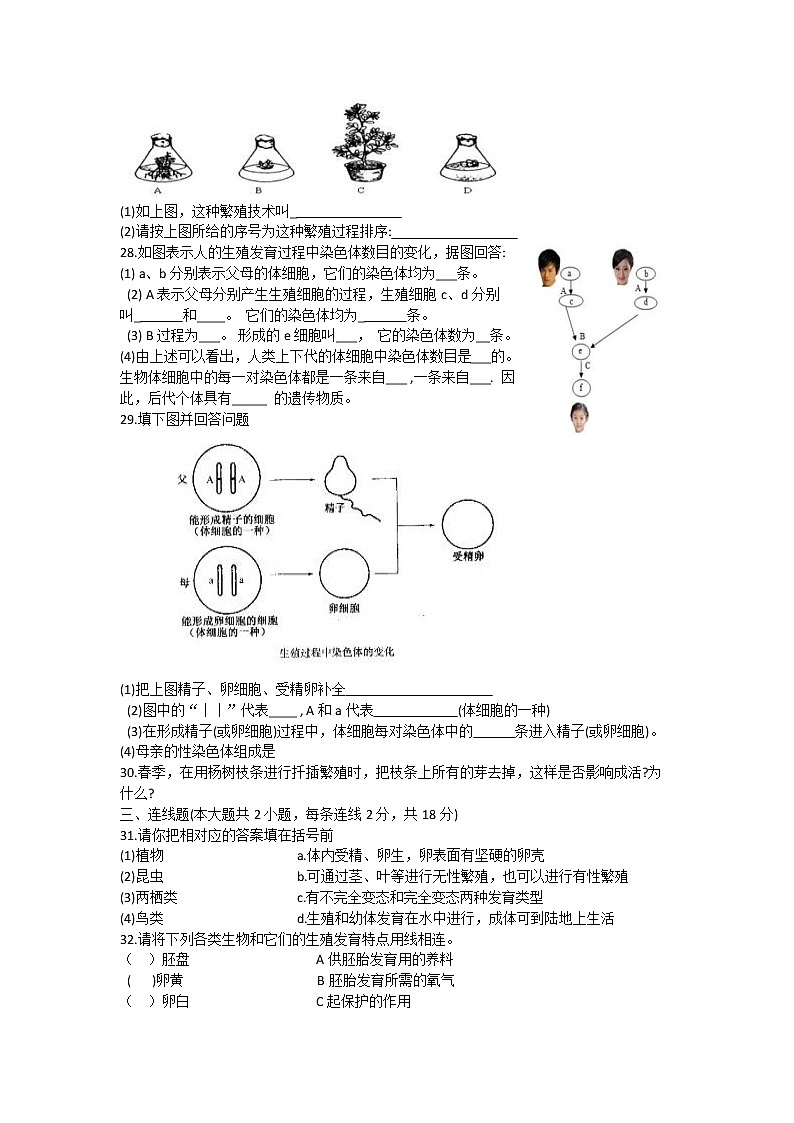 新疆阿克苏地区阿瓦提县2021-2022学年八年级下学期期中考试生物试卷(word版含答案)03