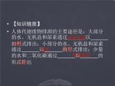 七年级下册 北师大版  皮肤与汗液分泌 示范课课件PPT