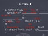 七年级下册 北师大版  皮肤与汗液分泌 示范课课件PPT