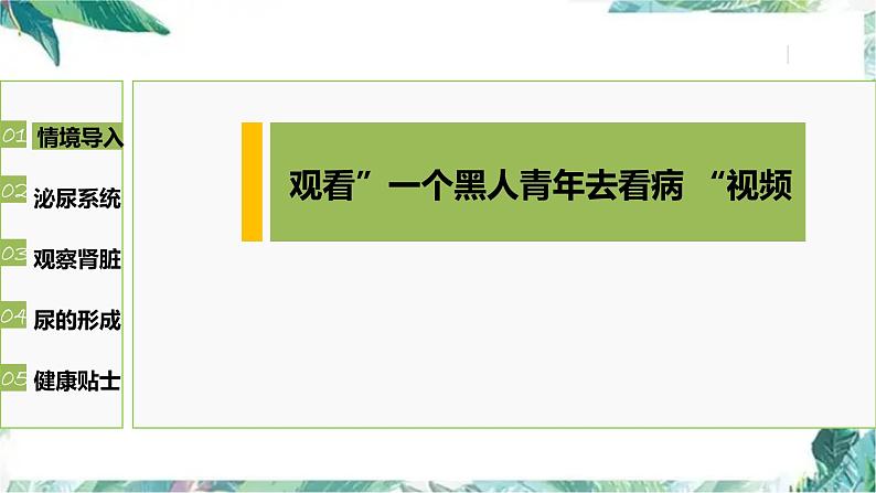 尿的形成与排出  公开课 课件第3页