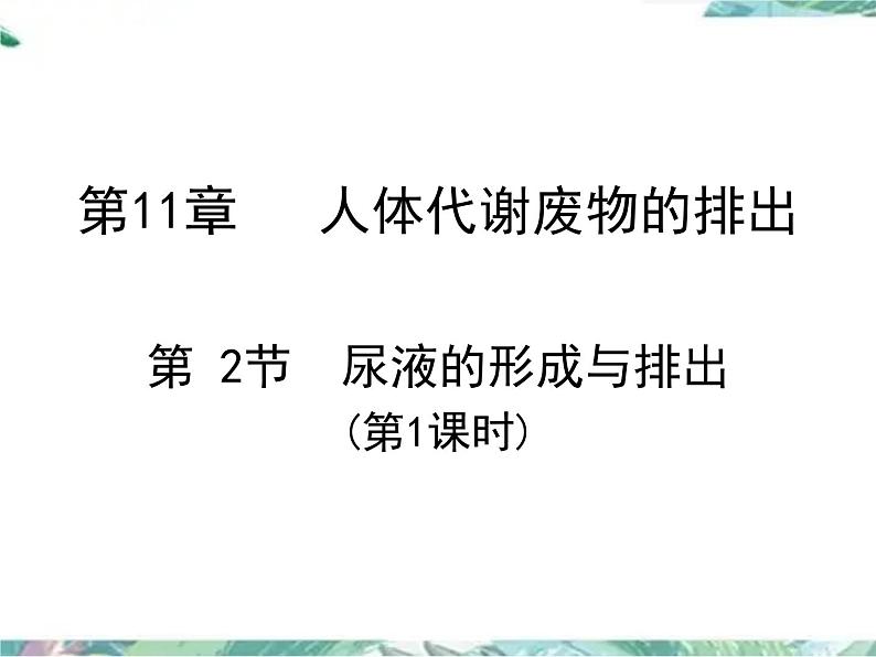 七年级下册 北师大  尿的形成与排出 第一课时 优质课件第1页