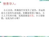 七年级下册 北师大  尿的形成与排出 第一课时 优质课件