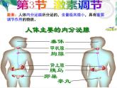 北师大版 七年级下册 激素调节  优质课件