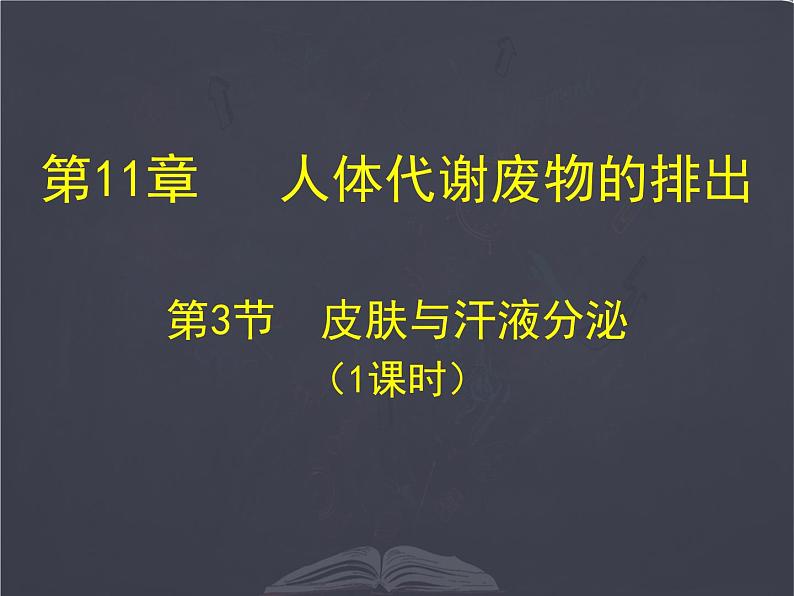 七年级下册 _ 皮肤与汗液分泌 公开课课件PPT第1页