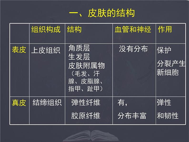 七年级下册 _ 皮肤与汗液分泌 公开课课件PPT第4页