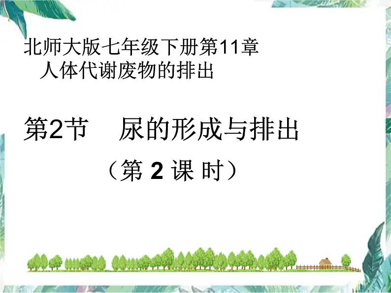 尿的形成与排出 优质课件 北师大七年级下册第1页