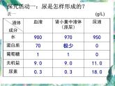 尿的形成与排出 优质课件 北师大七年级下册