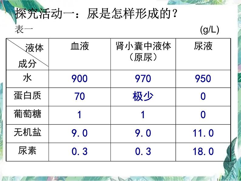 尿的形成与排出 优质课件 北师大七年级下册第4页