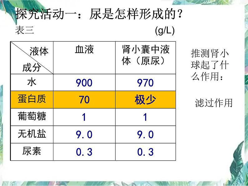 尿的形成与排出 优质课件 北师大七年级下册第6页