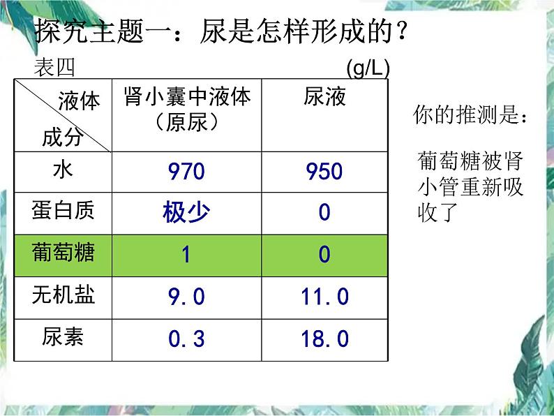 尿的形成与排出 优质课件 北师大七年级下册第8页