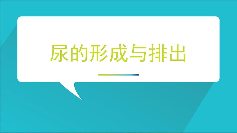 七年级下册 《尿的形成与排出》北师大版 优质课件第1页