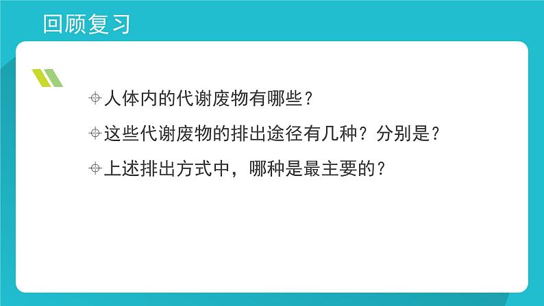 七年级下册 《尿的形成与排出》北师大版 优质课件第2页