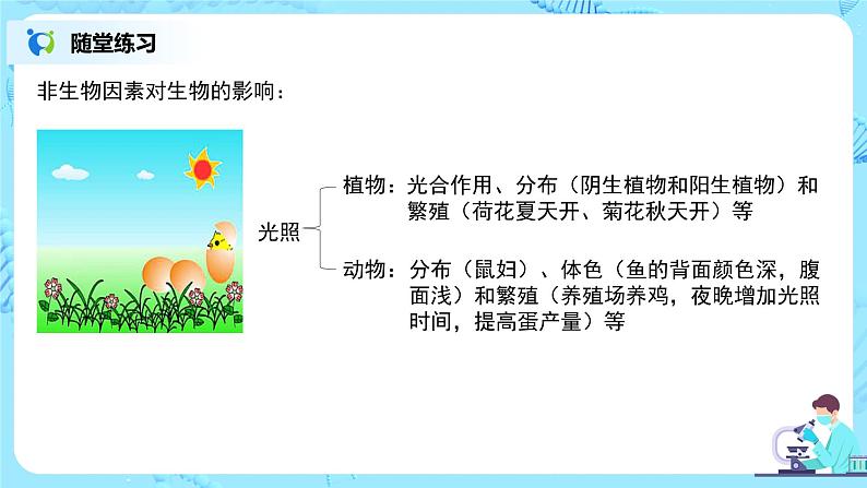 1.2.1《生物与环境的关系 第一课时》课件第6页