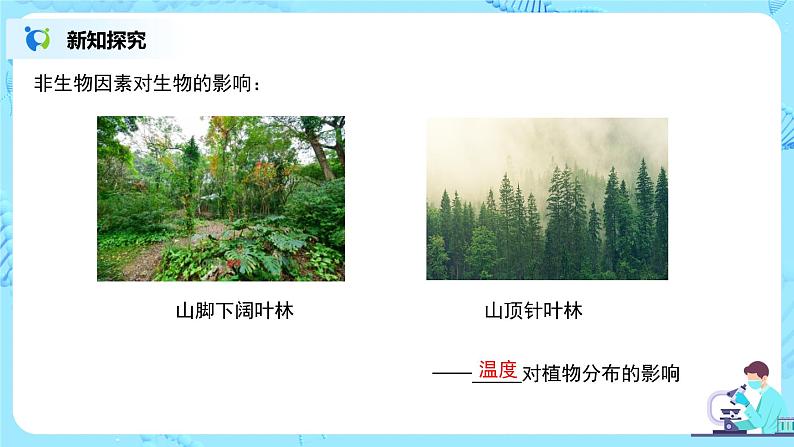 1.2.1《生物与环境的关系 第一课时》课件第7页