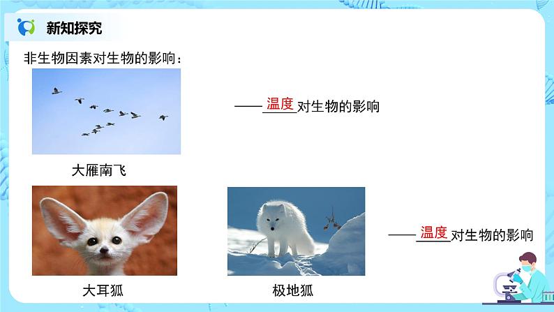 1.2.1《生物与环境的关系 第一课时》课件第8页