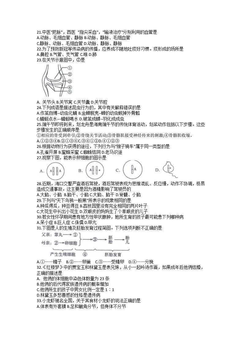 2022年海南省海口市初中毕业生学业模拟考试（一模）生物试题03