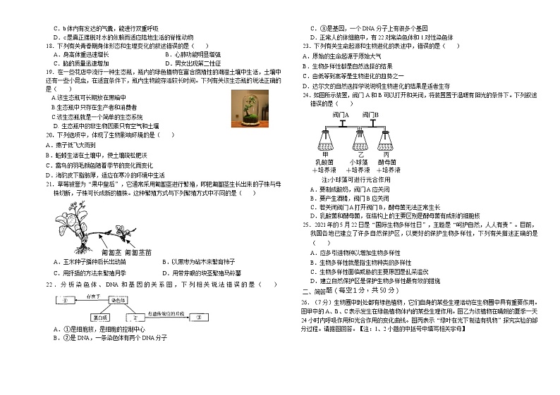 八年级试题第3页