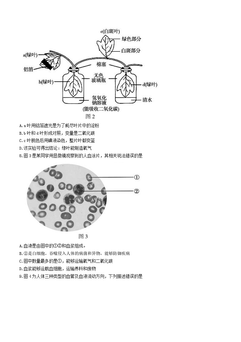 2022年北京市顺义区初中学业水平考试一模生物试题(word版无答案)02
