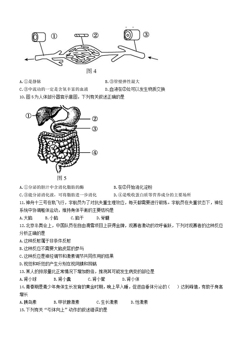 2022年北京市顺义区初中学业水平考试一模生物试题(word版无答案)03