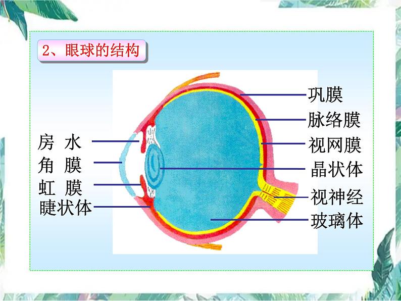 北师大版 七年级下册 第12章 第2节 感受器和感觉器官课件PPT第3页