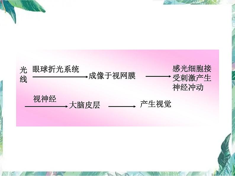 北师大版 七年级下册 第12章 第2节 感受器和感觉器官课件PPT第8页