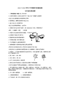 湖北省十堰市京中实验学校2021-2022学年七年级下学期期中生物试题（无答案）