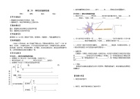 初中生物人教版 (新课标)七年级下册第二节 神经系统的组成学案