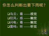 人体对外界环境的感知课件PPT
