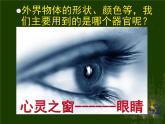 人体对外界环境的感知课件PPT
